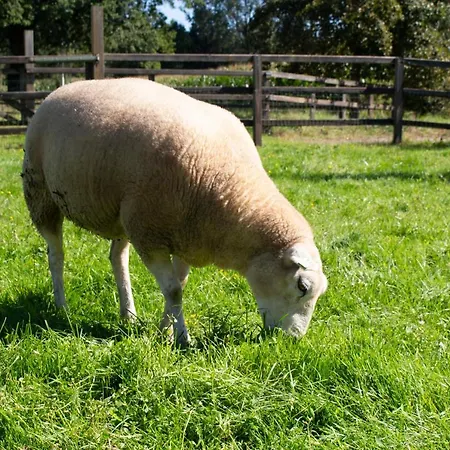 Villa Geldersche Tuin 6 Persoons *