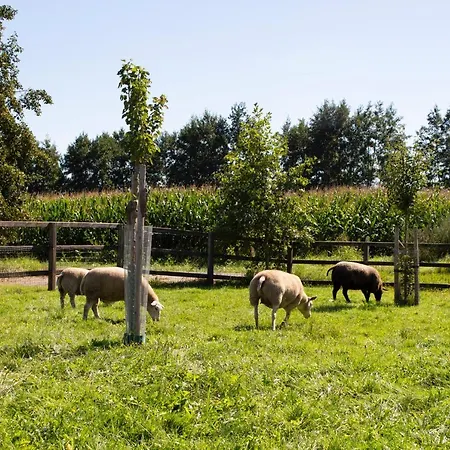 Geldersche Tuin 6 Persoons Villa Emst