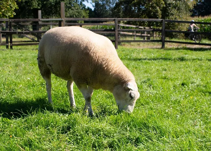 Villa Geldersche Tuin 6 Persoons *