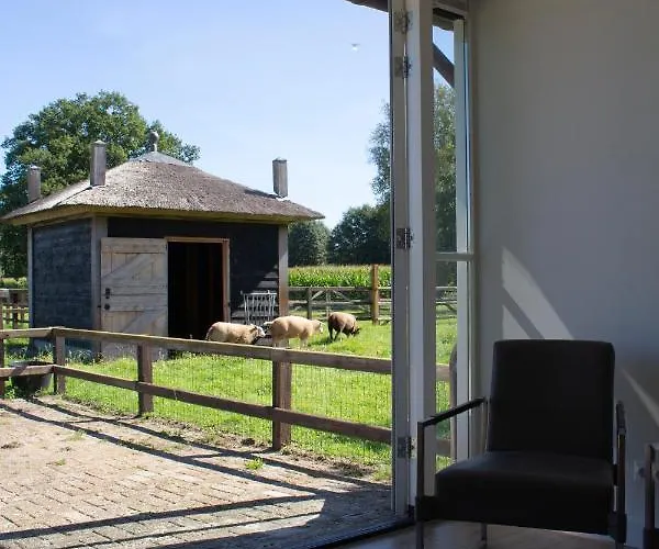 Geldersche Tuin 6 Persoons Villa