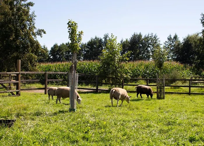 Geldersche Tuin 6 Persoons Villa Emst